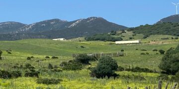 Ecologistas  celebran la sentencia que obliga al Ayuntamiento de Tarifa a revisar el proyecto urbanístico de Las Piñas y pagar las costas judiciales