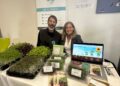 Microgreens Tarifa, sostenibilidad en miniatura