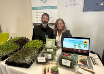 Microgreens Tarifa, sostenibilidad en miniatura