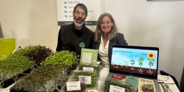 Microgreens Tarifa, sostenibilidad en miniatura
