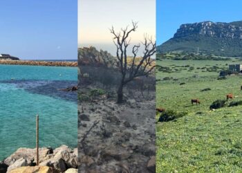 Incendio de Sierra Plata, Vertidos en la Isla de Tarifa y Urbanismo en Bolonia, se quedan fuera del orden del día de la próxima junta rectora del Parque Natural del Estrecho