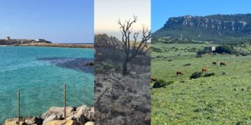 Incendio de Sierra Plata, Vertidos en la Isla de Tarifa y Urbanismo en Bolonia, se quedan fuera del orden del día de la próxima junta rectora del Parque Natural del Estrecho