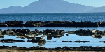 Ecologistas en Acción pide respeto institucional y un debate democrático sobre el desarrollo de Tarifa