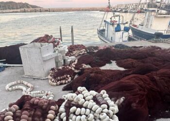 El atún rojo y Tarifa, en el centro del debate tras el aumento del 17% de la cuota europea