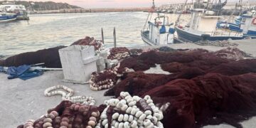 El atún rojo y Tarifa, en el centro del debate tras el aumento del 17% de la cuota europea