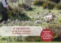 La Federación Andaluza de Caza celebra la “2ª Selectiva San Huberto” de Perros de Muestra en Facinas