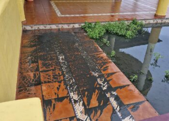 Indignación de los vecinos de Los Lances, denuncian una situación “insalubre e insoportable” (video)