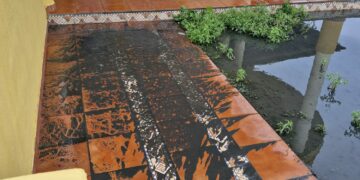 Indignación de los vecinos de Los Lances, denuncian una situación “insalubre e insoportable” (video)