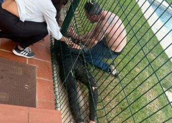 Un kiter resulta herido tras salir volando y quedar atrapado en la valla de la urbanización Los Lances II en Tarifa