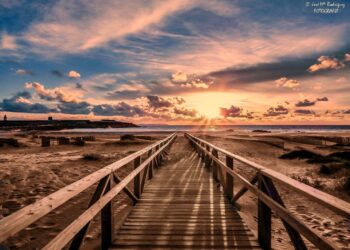 Hay caminos que no solo se andan… se sienten.