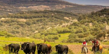 Tarifa estudia un complejo rural con piscina junto al río Jar, en la zona de La Palmosilla