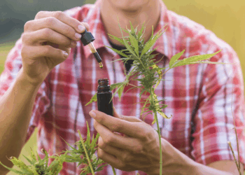 Presencia del CBD en una sociedad más informada