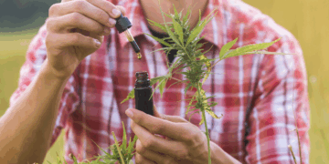 Presencia del CBD en una sociedad más informada