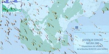 Verdes de Europa–Tarifa valora la Declaración Desfavorable del proyecto “Parque Eólico Arrebol”