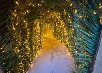 El Castillo de la ilusión (Galería)