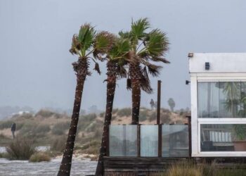 Cervezas a pie de mar