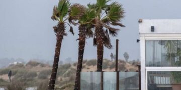 Cervezas a pie de mar