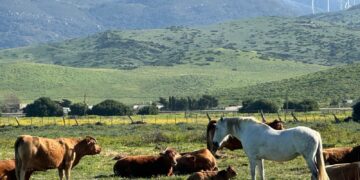 «Cómo sigamos así vamos a depender de terceros países para comer….Sin comentarios»