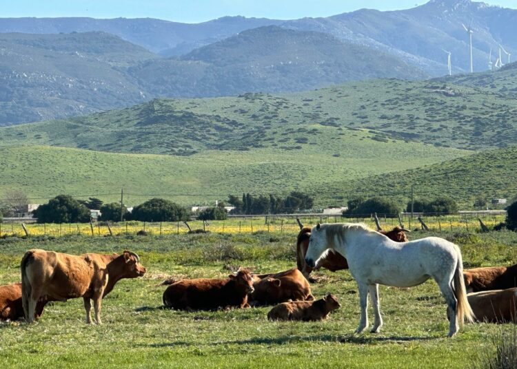 «Cómo sigamos así vamos a depender de terceros países para comer….Sin comentarios»