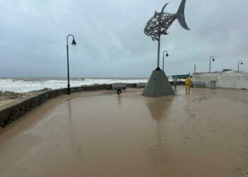 Las fotos de Tarifa tras el rugido del temporal (Galería)